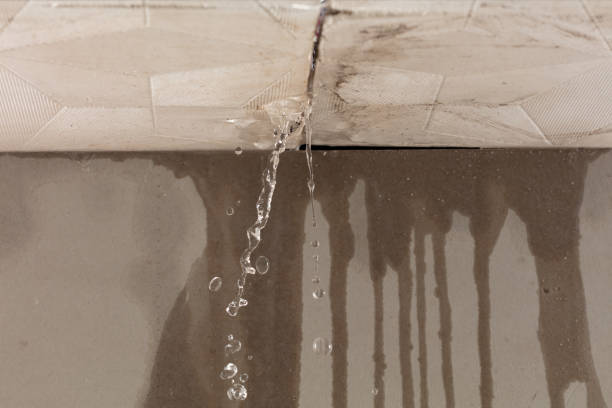 Professional Water Damage Repair technician working in Lorenzo, TX